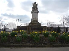 War Memorial Daffodils 2w