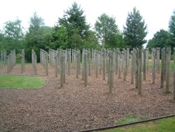 Arboretum016