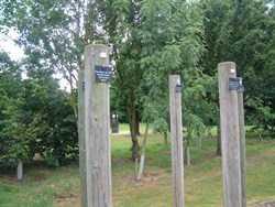 Arboretum018