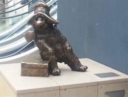 Paddington Bear At Stationsm