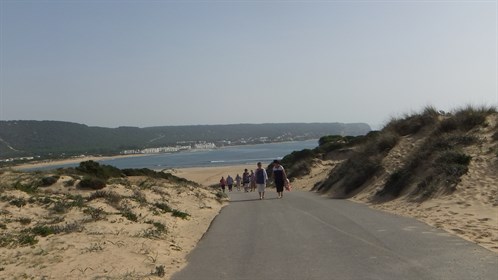 Dscf0531