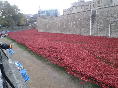 Poppy Tower