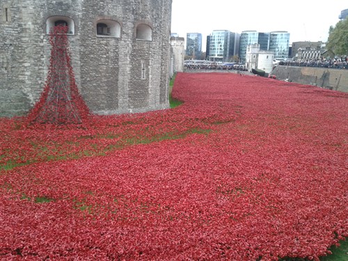 Poppy Tower2