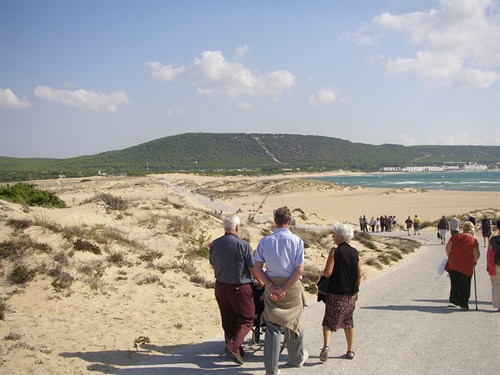 PA210069.JPG