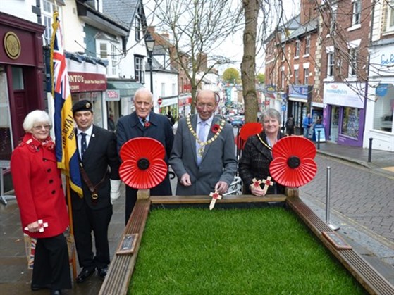 Poppy Appeal 2015 7