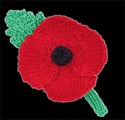 Ww Poppy Crochet1