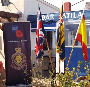 Standards And Pull Up 2