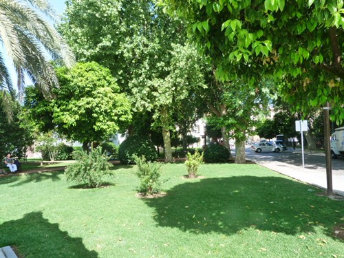 P1160917.JPG