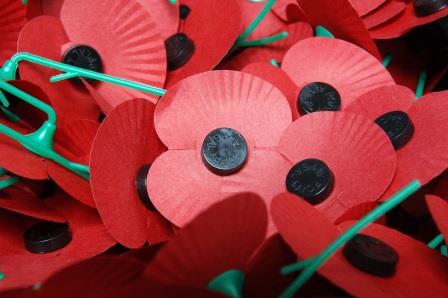 Poppy Appeal poppies