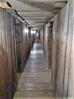 Trench 7 Tunnel