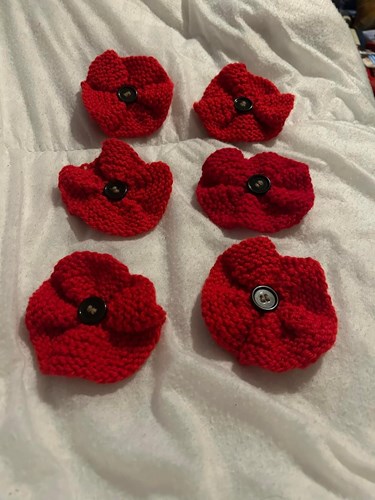 Selection of knitted poppies