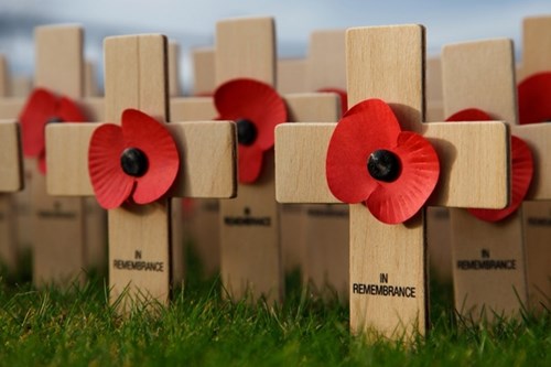 Poppies on cross