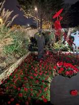 Poppy display at Avon Manor